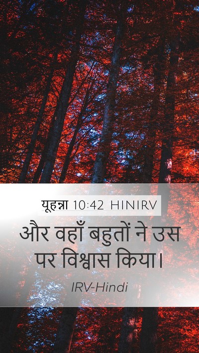 यूहन्ना 10:42 HINIRV Mobile Phone Wallpaper - और वहाँ बहुतों ने - Mobile Bible Verse Wallpaper