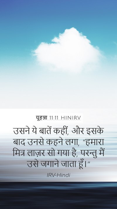 यूहन्ना 11:11 HINIRV Bible Verse Image