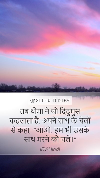 यूहन्ना 11:16 HINIRV Bible Verse Image