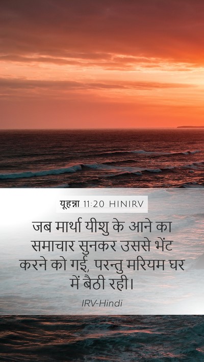 यूहन्ना 11:20 HINIRV Bible Verse Image