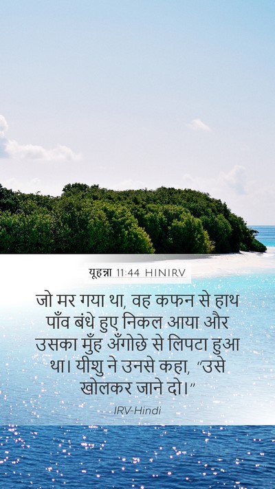 यूहन्ना 11:44 HINIRV Bible Verse Image