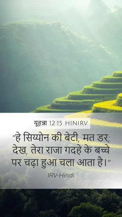 यूहन्ना 12:15 HINIRV Bible Verse Image