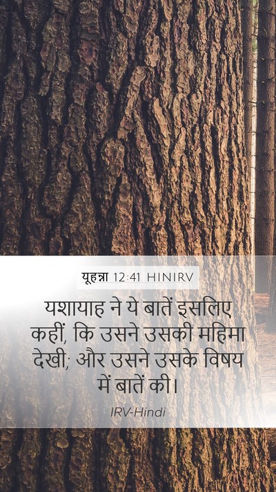 यूहन्ना 12:41 HINIRV Bible Verse Image