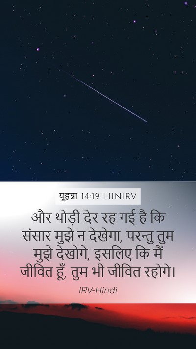 यूहन्ना 14:19 HINIRV Bible Verse Image