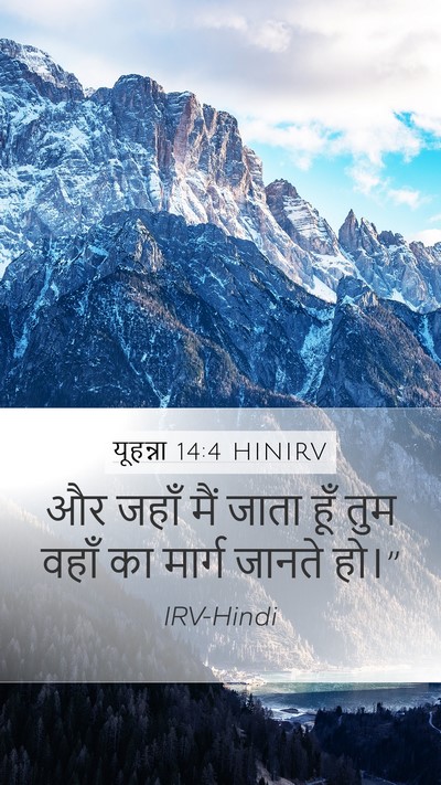 यूहन्ना 14:4 HINIRV Bible Verse Image