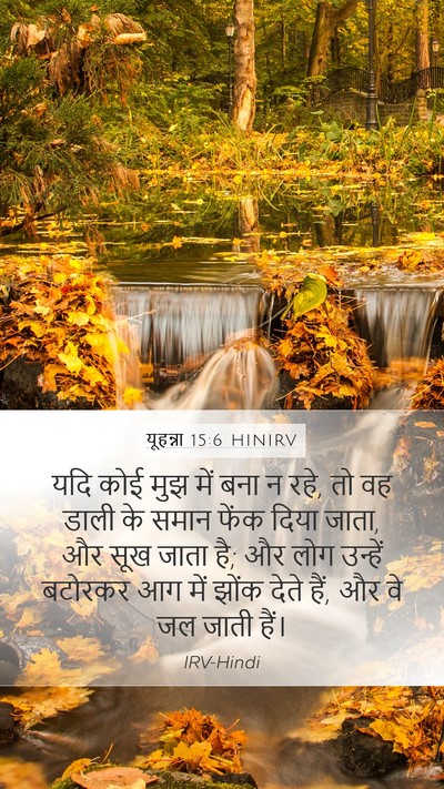 यूहन्ना 15:6 HINIRV Bible Verse Image