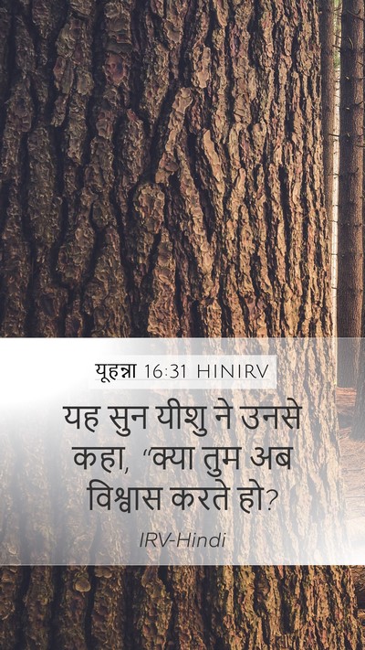 यूहन्ना 16:31 HINIRV Mobile Phone Wallpaper - यह सुन यीशु ने उनसे - Mobile Bible Verse Wallpaper