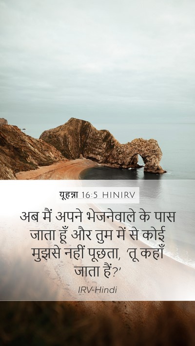 यूहन्ना 16:5 HINIRV Bible Verse Image