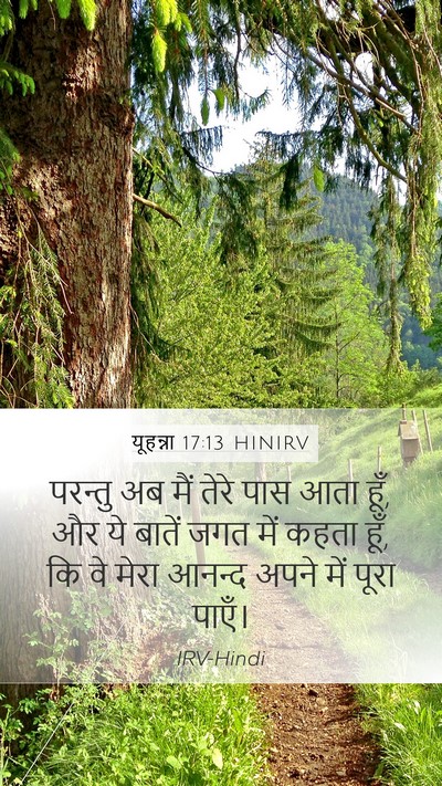 यूहन्ना 17:13 HINIRV Bible Verse Image
