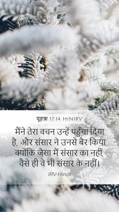 यूहन्ना 17:14 HINIRV Bible Verse Image