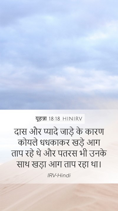 यूहन्ना 18:18 HINIRV Bible Verse Image