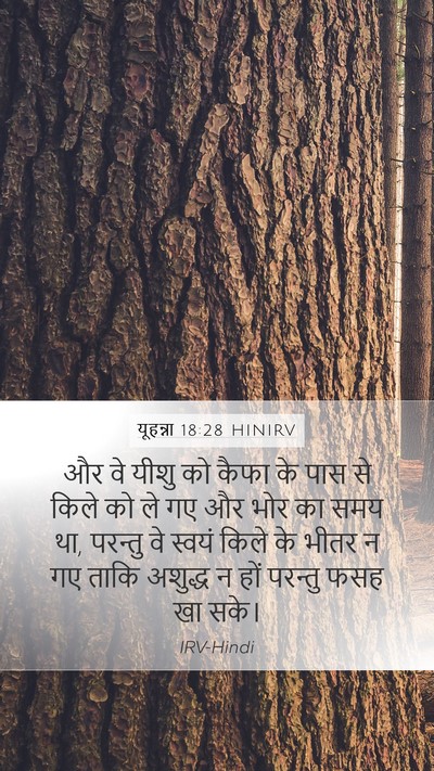 यूहन्ना 18:28 HINIRV Bible Verse Image