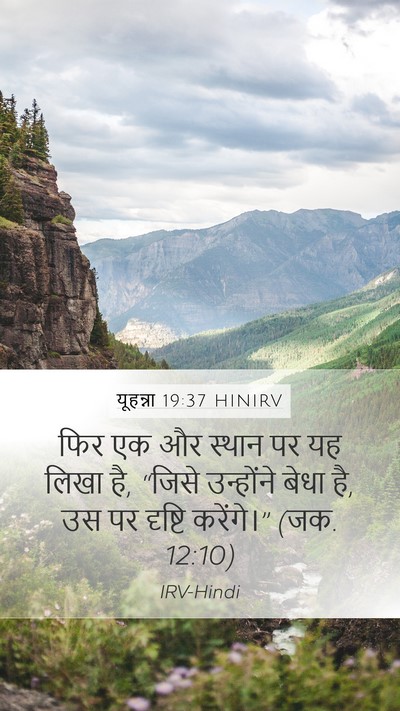 यूहन्ना 19:37 HINIRV Bible Verse Image