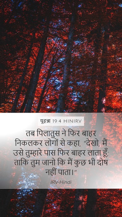 यूहन्ना 19:4 HINIRV Bible Verse Image