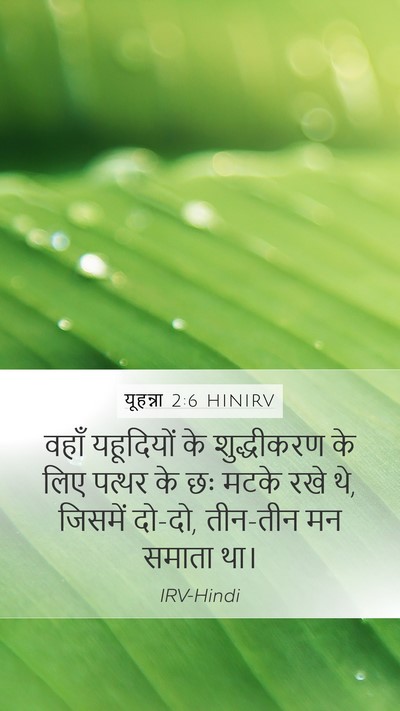 यूहन्ना 2:6 HINIRV Bible Verse Image