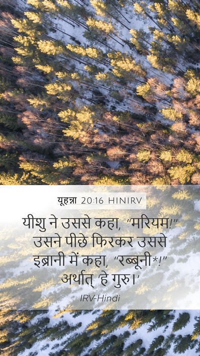 यूहन्ना 20:16 HINIRV Bible Verse Image