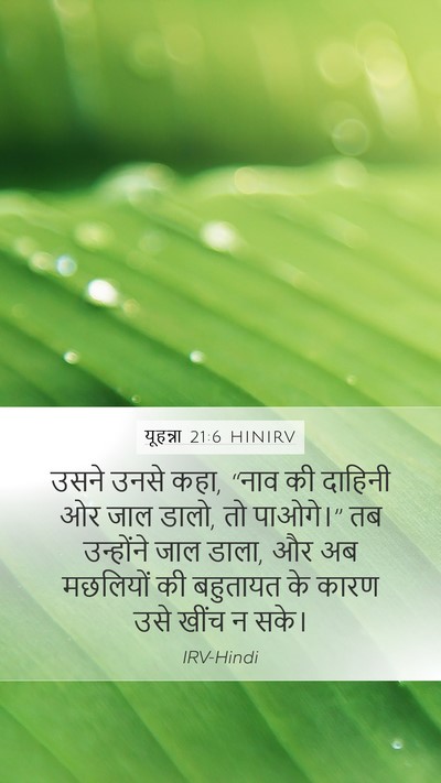 यूहन्ना 21:6 HINIRV Bible Verse Image