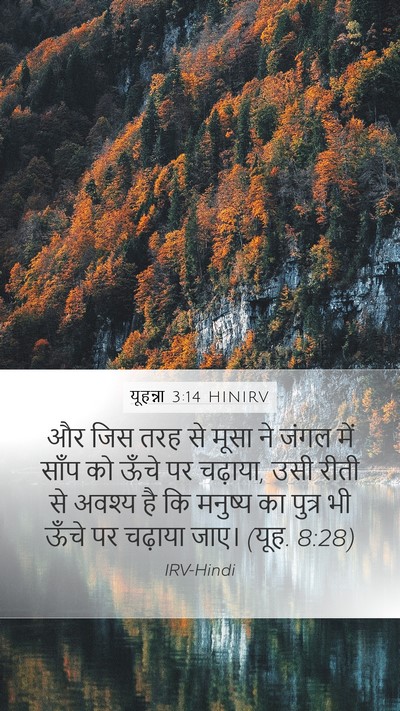 यूहन्ना 3:14 HINIRV Bible Verse Image