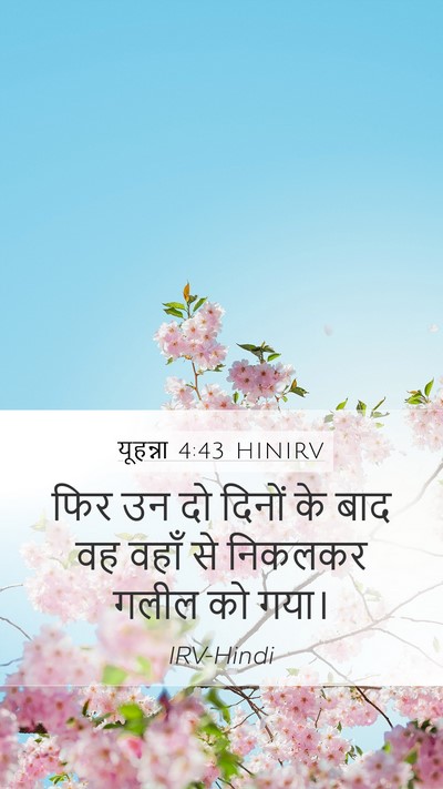 यूहन्ना 4:43 HINIRV Bible Verse Image