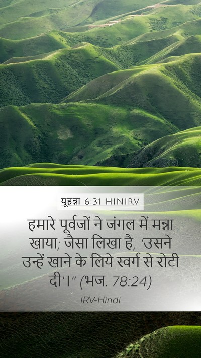 यूहन्ना 6:31 HINIRV Bible Verse Image