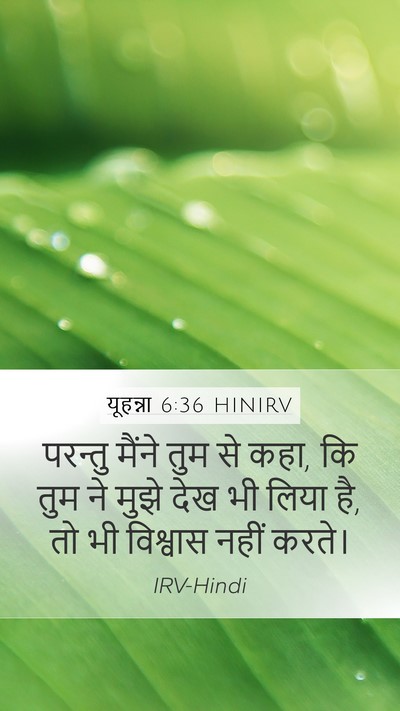 यूहन्ना 6:36 HINIRV Bible Verse Image