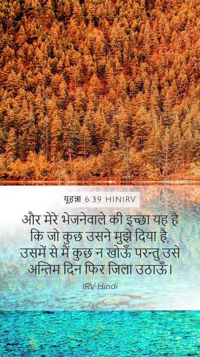 यूहन्ना 6:39 HINIRV Bible Verse Image