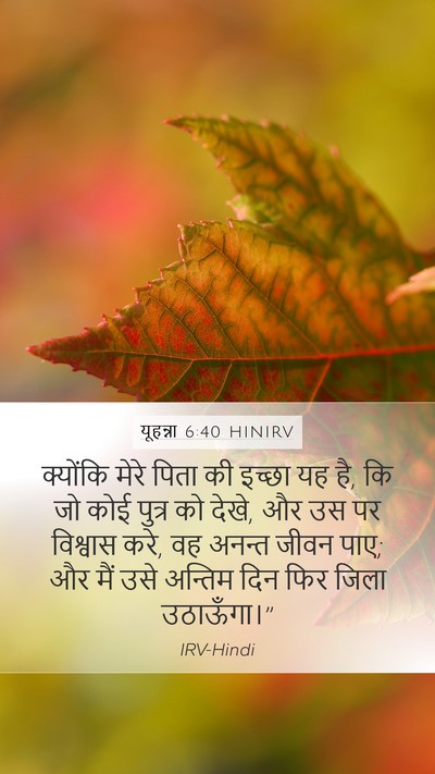 यूहन्ना 6:40 HINIRV Bible Verse Image