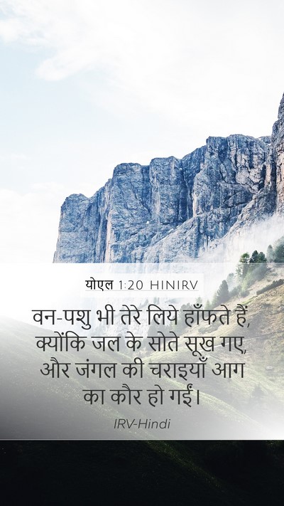 योएल 1:20 HINIRV Mobile Phone Wallpaper - वन-पशु भी तेरे लिये - Mobile Bible Verse Wallpaper