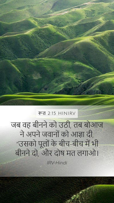 रूत 2:15 HINIRV Mobile Phone Wallpaper - जब वह बीनने को उठी, - Mobile Bible Verse Wallpaper