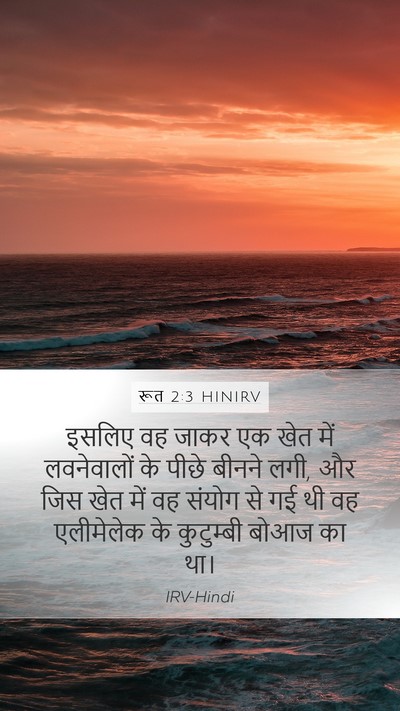 रूत 2:3 HINIRV Mobile Phone Wallpaper - इसलिए वह जाकर एक - Mobile Bible Verse Wallpaper