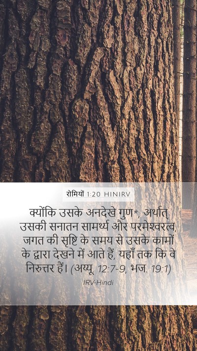रोमियों 1:20 HINIRV Bible Verse Image