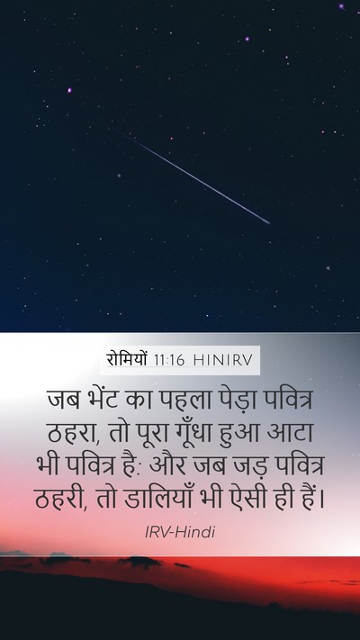 रोमियों 11:16 HINIRV Bible Verse Image