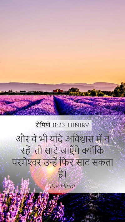 रोमियों 11:23 HINIRV Bible Verse Image