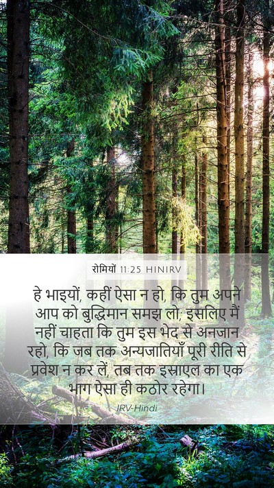 रोमियों 11:25 HINIRV Bible Verse Image