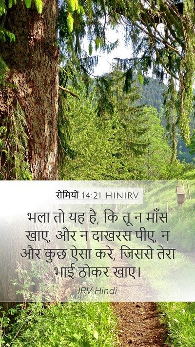 रोमियों 14:21 HINIRV Bible Verse Image