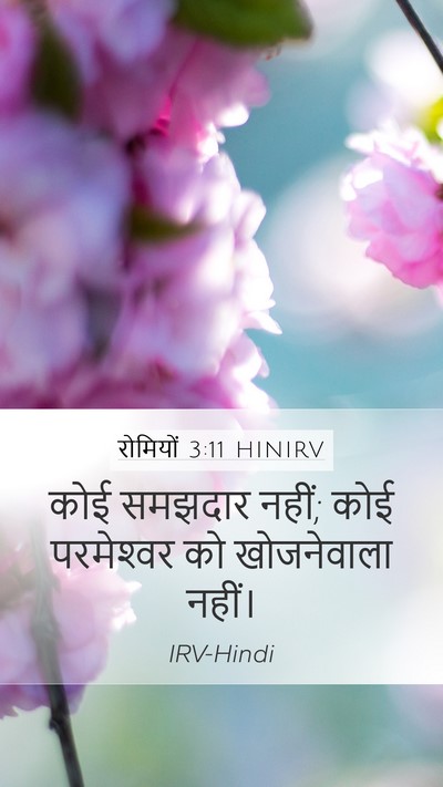 रोमियों 3:11 HINIRV Bible Verse Image