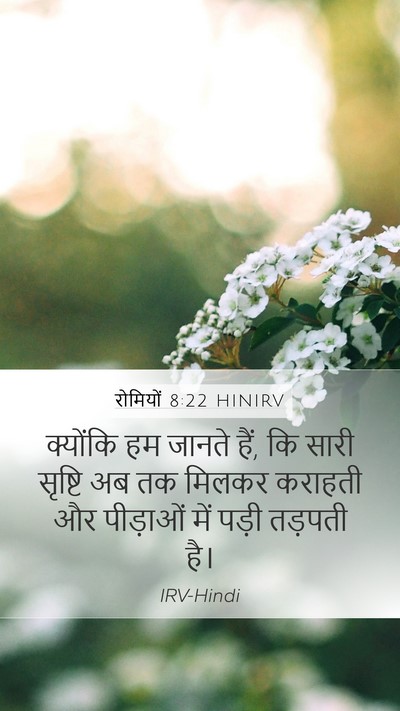रोमियों 8:22 HINIRV Bible Verse Image