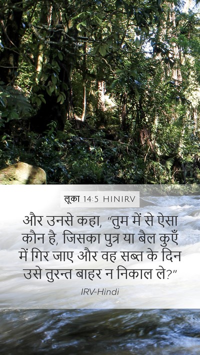 लूका 14:5 HINIRV Bible Verse Image