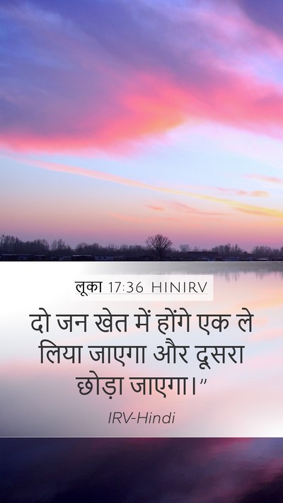 लूका 17:36 HINIRV Mobile Phone Wallpaper - दो जन खेत में होंगे - Mobile Bible Verse Wallpaper