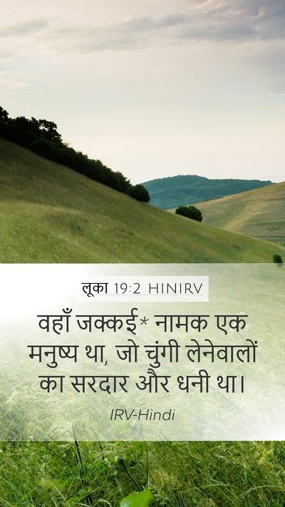 लूका 19:2 HINIRV Mobile Phone Wallpaper - वहाँ जक्कई* नामक एक - Mobile Bible Verse Wallpaper