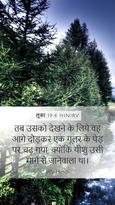 लूका 19:4 HINIRV Bible Verse Image