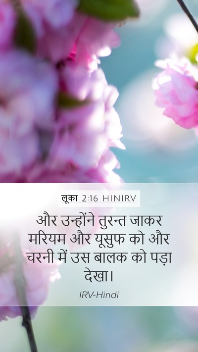 लूका 2:16 HINIRV Mobile Phone Wallpaper - और उन्होंने - Mobile Bible Verse Wallpaper