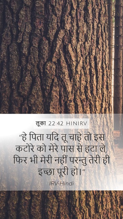 लूका 22:42 HINIRV Mobile Phone Wallpaper - “हे पिता यदि तू - Mobile Bible Verse Wallpaper