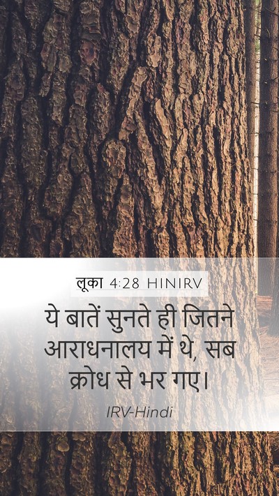 लूका 4:28 HINIRV Mobile Phone Wallpaper - ये बातें सुनते ही - Mobile Bible Verse Wallpaper
