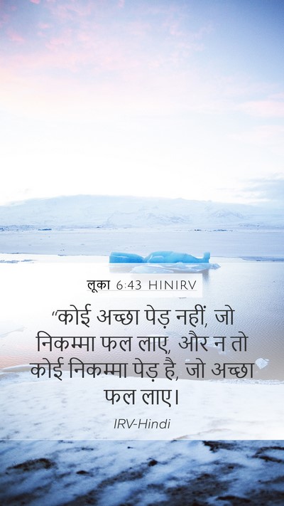 लूका 6:43 HINIRV Bible Verse Image