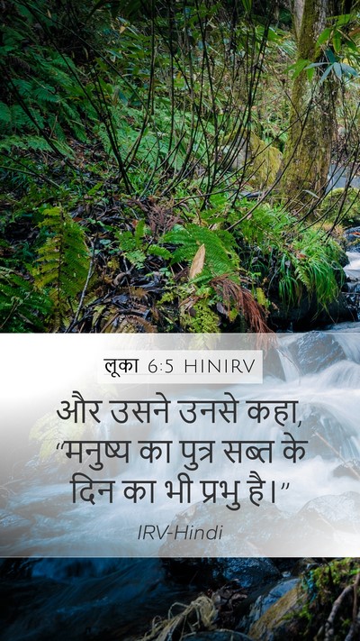 लूका 6:5 HINIRV Mobile Phone Wallpaper - और उसने उनसे कहा, - Mobile Bible Verse Wallpaper