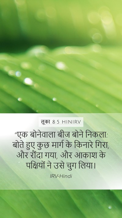 लूका 8:5 HINIRV Mobile Phone Wallpaper - “एक बोनेवाला बीज - Mobile Bible Verse Wallpaper