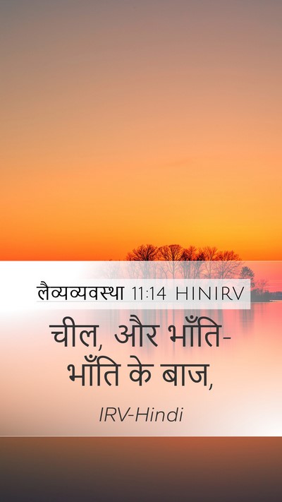 लैव्यव्यवस्था 11:14 HINIRV Mobile Phone Wallpaper - चील, और भाँति-भाँति - Mobile Bible Verse Wallpaper