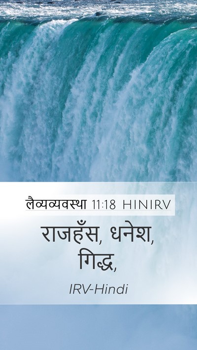 लैव्यव्यवस्था 11:18 HINIRV Mobile Phone Wallpaper - राजहँस, धनेश, - Mobile Bible Verse Wallpaper