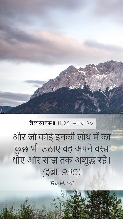 लैव्यव्यवस्था 11:25 HINIRV Bible Verse Image